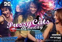 Pussy Cats Monday@Orange