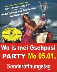 Wo is mei Gschpusi - Party