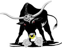 Gruppenavatar von FIRE_BULLS