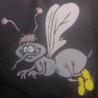 Gruppenavatar von PEUERBACH WASPS - Eishockey