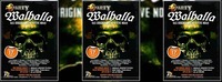 Walhalla - Das Original mit Steve Noah@Disco P2
