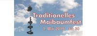 Traditionelles Maibaumfest@