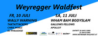 Weyregger Waldfest 2015@Weyregger Waldfest