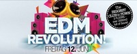 EDM Revolution@Bollwerk