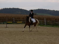 CHEVEAUX ====> wenns ums reiten geht