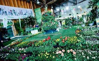 Frühjahrsmesse 2016 - Die Messe für Garten, Bauen, Musik  Lebensfreude