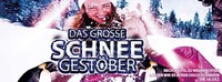 Das große Schneegestöber@Disco P2