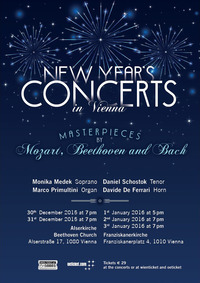 New Year's Concert in Vienna@Franziskanerkirche