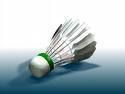 Badminton 