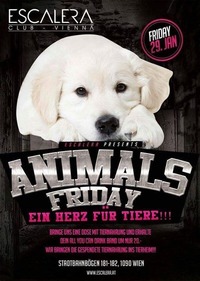 Animal Friday@Escalera Club