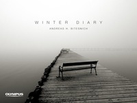 „WINTER DIARY“ von Andreas H. Bitesnich