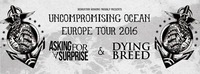 Asking For A Surprise (Ger) :: Dying Breed (Ger) :: Chasing Sounds@Kramladen