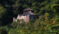 Turnier Wolfsthurn 2016 von 20 bis 22 Mai@Andrian, Südtirol