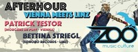 SATURDAY Afterhour / VIENNA meets LINZ@The ZOO Music:Culture