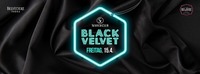 Black Velvet • 15/04/16