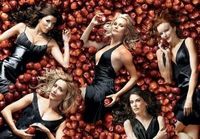 Desperates Housewives - A MUST*