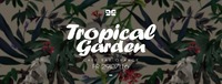 Tropical Garden