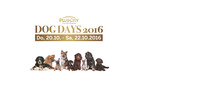 PlusCity Dog Days 2016@Plus City