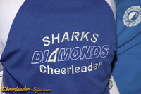 Gruppenavatar von *DIAMONDS* Cheerleader