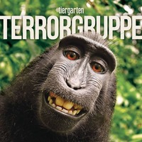 Terrorgruppe - 