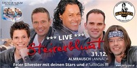Mega Silvesterparty mit Steirerbluat live!@Almrausch