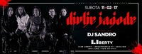 Divlje jagode LIVE - Club Liberty@Club Liberty