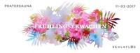 Das Frühlingserwachen