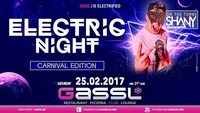 Electric Night - Carnival Edition@Gassl
