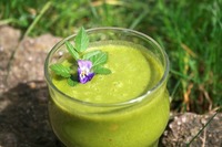 Frühjahrskräuter-Spaziergang und Grüne Smoothies