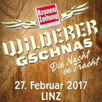 Wilderer Gschnas 2017