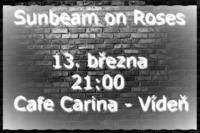 Sunbeam on Roses in Wien@Café Carina