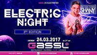 Electric Night@Gassl
