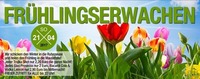 Frühlingserwachen