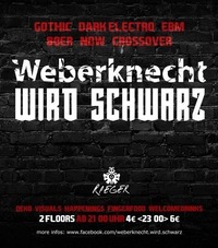Weberknecht wird schwarz (Gothic EBM 80er NDW Crossover)@Weberknecht