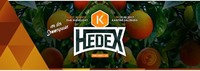 Last Minute DNB w/ HEDEX@Die Kantine