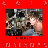 Jazzy Jam Night mit Acid Indianer im Smargad