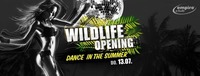Opening - Wildlife - Dance in the Summer / empire@Empire Club