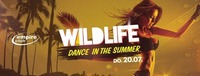Wildlife - Dance in the Summer / empire@Empire Club