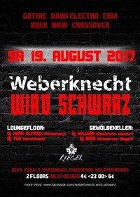 Weberknecht wird schwarz | 19.08.