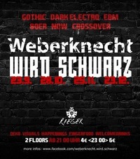 Weberknecht wird schwarz | 23.09.@Weberknecht