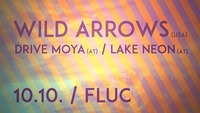 Wild Arrows / Drive Moya / Lake Neon at Fluc