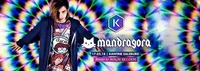 PsyLife II · Mandragora (Mexiko)@Die Kantine