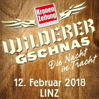 Wilderer Gschnas 2018