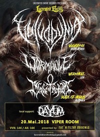 Vulvodynia ZA, Wormhole USA , Blade of Horus AUS, Dayum AT