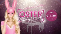 Osterbunny Party