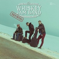 WhiskeyJamBand. Trash-blues band from Belarus in Vienna!