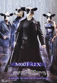 Gruppenavatar von The Mootrix