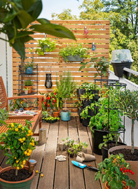 Ran ans Beet: Kostenloser Workshop „Gärtnern auf Balkon und Terrasse“@Garten Tulln