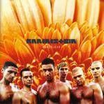 Rammstein ist cool