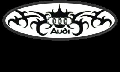 Gruppenavatar von ►►►Audi-Team◄◄◄